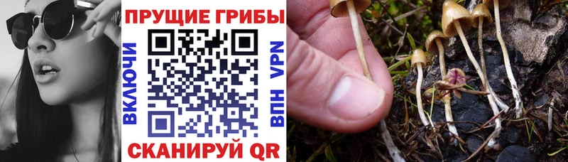 Галлюциногенные грибы GOLDEN TEACHER  Унеча 